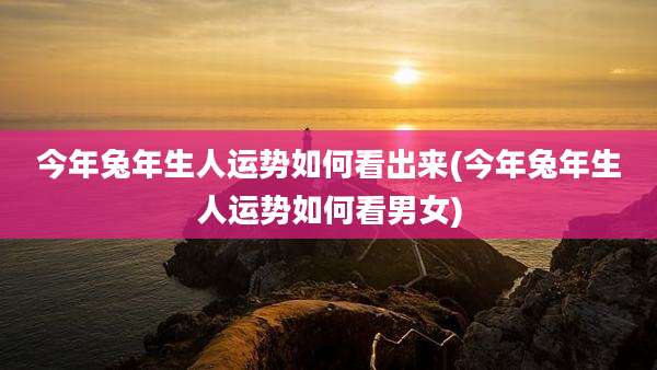 今年兔年生人运势如何看出来(今年兔年生人运势如何看男女)