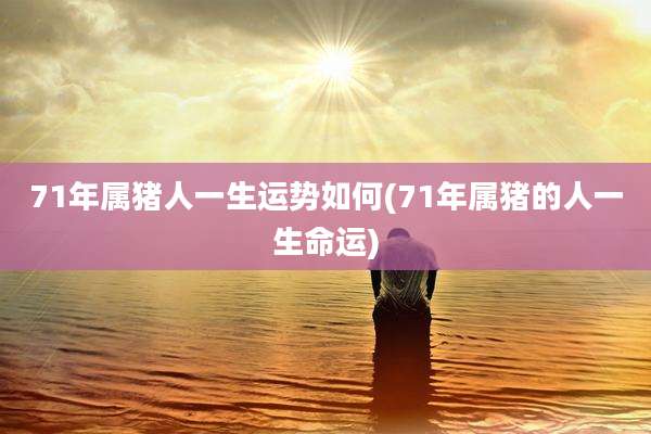 71年属猪人一生运势如何(71年属猪的人一生命运)