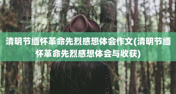 清明节缅怀革命先烈感想体会作文(清明节缅怀革命先烈感想体会与收获)