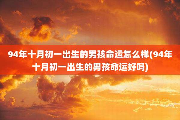 94年十月初一出生的男孩命运怎么样(94年十月初一出生的男孩命运好吗)