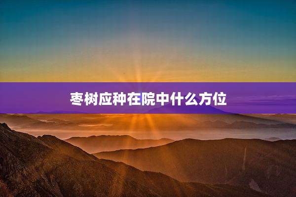 枣树应种在院中什么方位