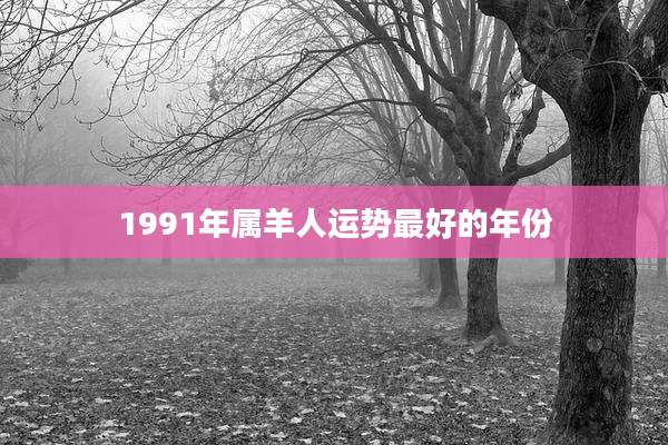 1991年属羊人运势最好的年份