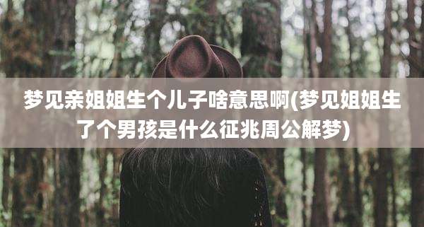 梦见亲姐姐生个儿子啥意思啊(梦见姐姐生了个男孩是什么征兆周公解梦)