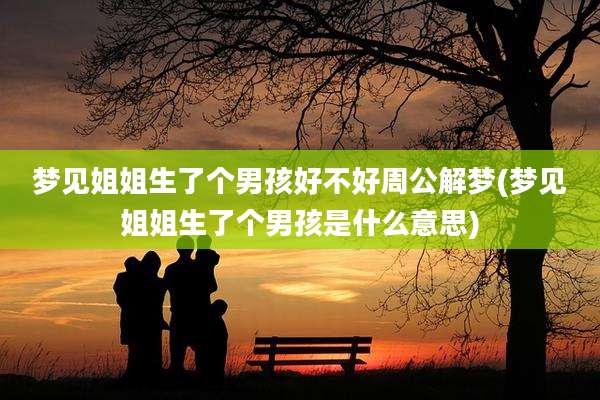 梦见姐姐生了个男孩好不好周公解梦(梦见姐姐生了个男孩是什么意思)