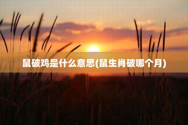 鼠破鸡是什么意思(鼠生肖破哪个月)