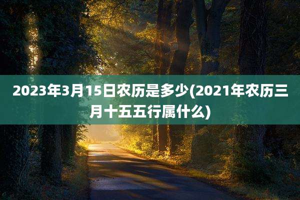 2023年3月15日农历是多少(2021年农历三月十五五行属什么)
