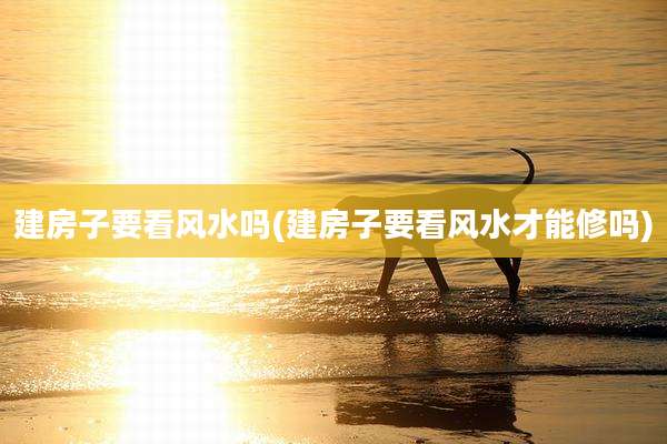 建房子要看风水吗(建房子要看风水才能修吗)