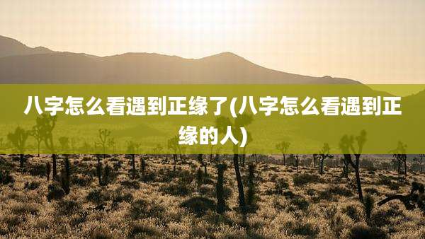 八字怎么看遇到正缘了(八字怎么看遇到正缘的人)