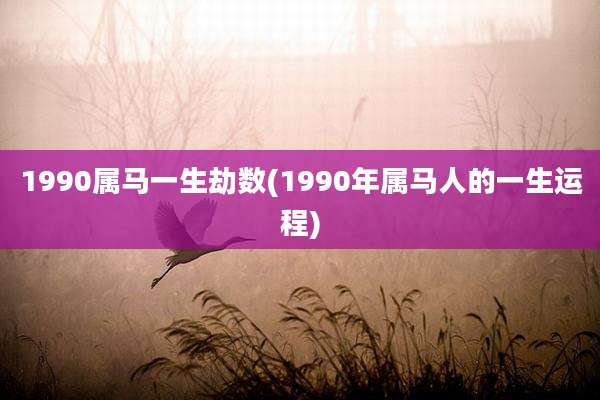 1990属马一生劫数(1990年属马人的一生运程)