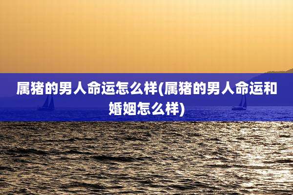 属猪的男人命运怎么样(属猪的男人命运和婚姻怎么样)