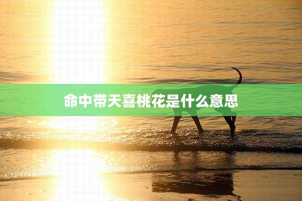 命中带天喜桃花是什么意思