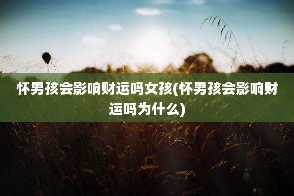 怀男孩会影响财运吗女孩(怀男孩会影响财运吗为什么)