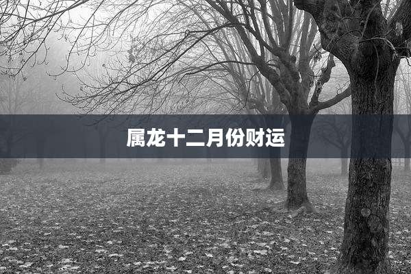 属龙十二月份财运