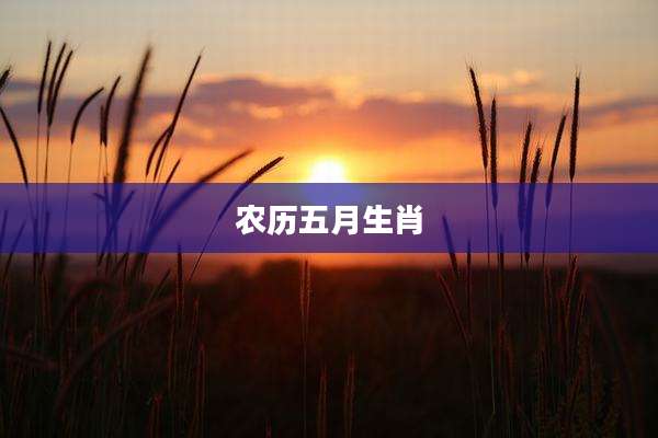 农历五月生肖