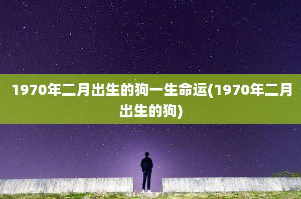 1970年二月出生的狗一生命运(1970年二月出生的狗)
