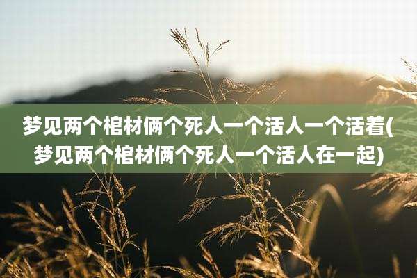 梦见两个棺材俩个死人一个活人一个活着(梦见两个棺材俩个死人一个活人在一起)