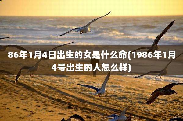 86年1月4日出生的女是什么命(1986年1月4号出生的人怎么样)