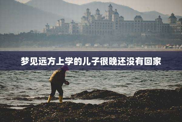 梦见远方上学的儿子很晚还没有回家