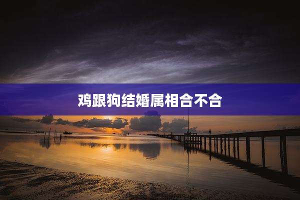鸡跟狗结婚属相合不合