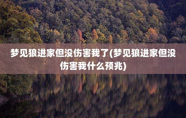 梦见狼进家但没伤害我了(梦见狼进家但没伤害我什么预兆)