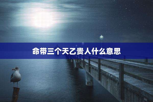 命带三个天乙贵人什么意思