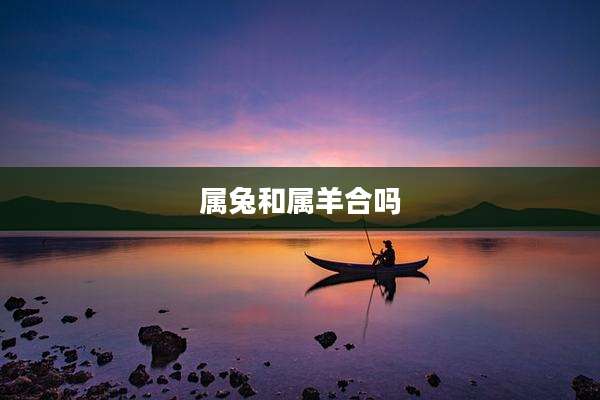 属兔和属羊合吗