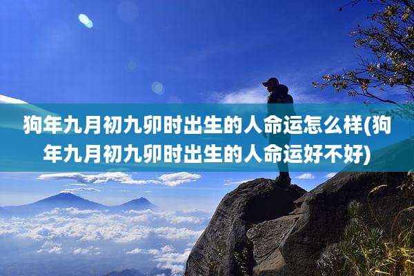 狗年九月初九卯时出生的人命运怎么样(狗年九月初九卯时出生的人命运好不好)