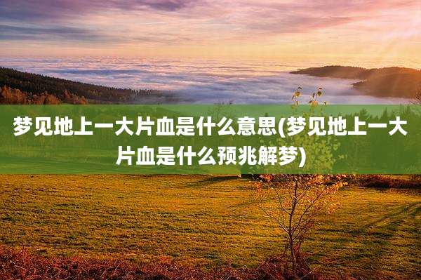 梦见地上一大片血是什么意思(梦见地上一大片血是什么预兆解梦)