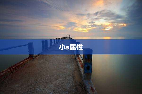小s属性