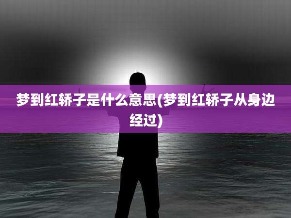 梦到红轿子是什么意思(梦到红轿子从身边经过)