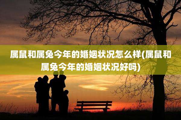 属鼠和属兔今年的婚姻状况怎么样(属鼠和属兔今年的婚姻状况好吗)