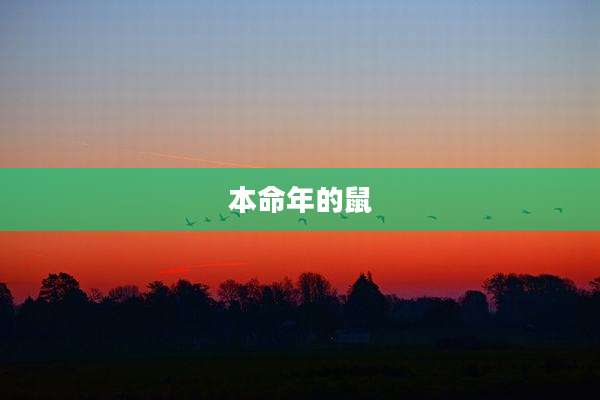 本命年的鼠