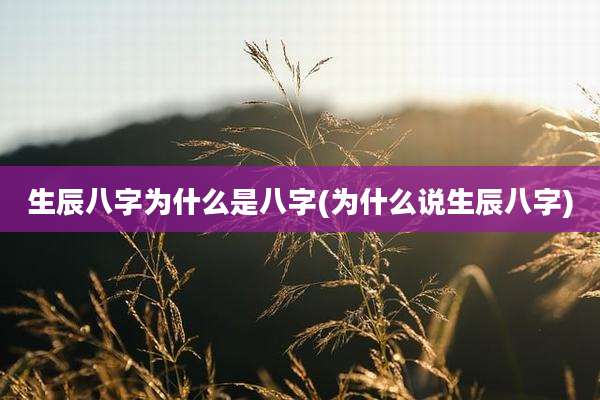 生辰八字为什么是八字(为什么说生辰八字)