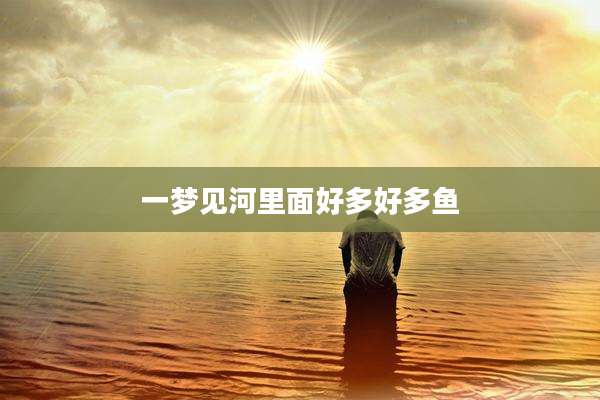 一梦见河里面好多好多鱼