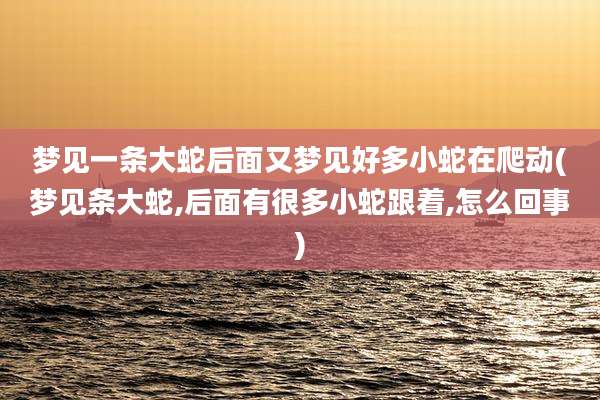 梦见一条大蛇后面又梦见好多小蛇在爬动(梦见条大蛇,后面有很多小蛇跟着,怎么回事)