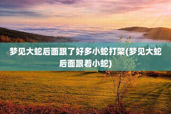 梦见大蛇后面跟了好多小蛇打架(梦见大蛇后面跟着小蛇)