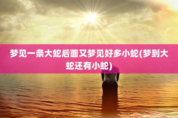 梦见一条大蛇后面又梦见好多小蛇(梦到大蛇还有小蛇)