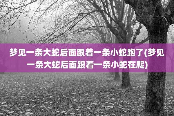 梦见一条大蛇后面跟着一条小蛇跑了(梦见一条大蛇后面跟着一条小蛇在爬)