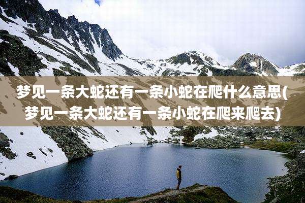 梦见一条大蛇还有一条小蛇在爬什么意思(梦见一条大蛇还有一条小蛇在爬来爬去)