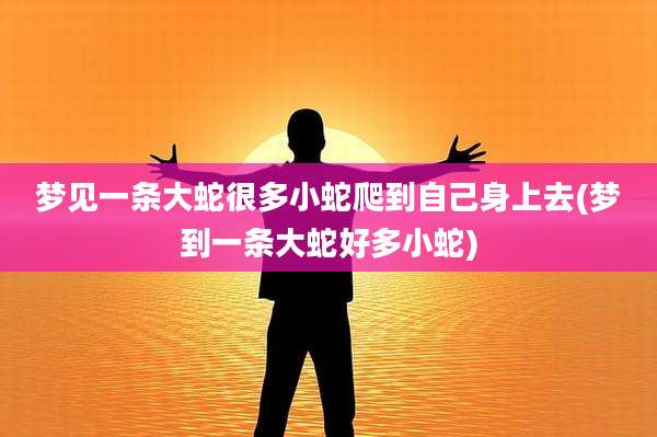 梦见一条大蛇很多小蛇爬到自己身上去(梦到一条大蛇好多小蛇)