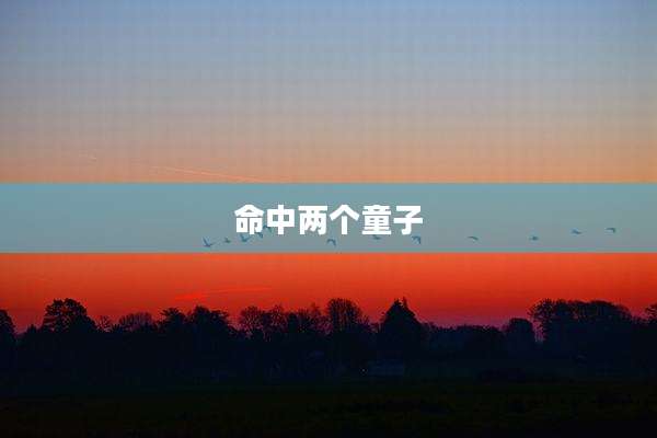 命中两个童子