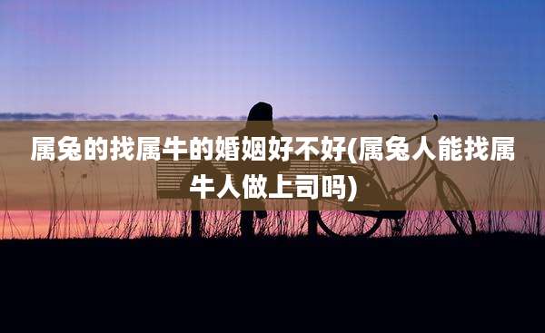 属兔的找属牛的婚姻好不好(属兔人能找属牛人做上司吗)