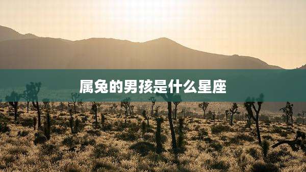 属兔的男孩是什么星座