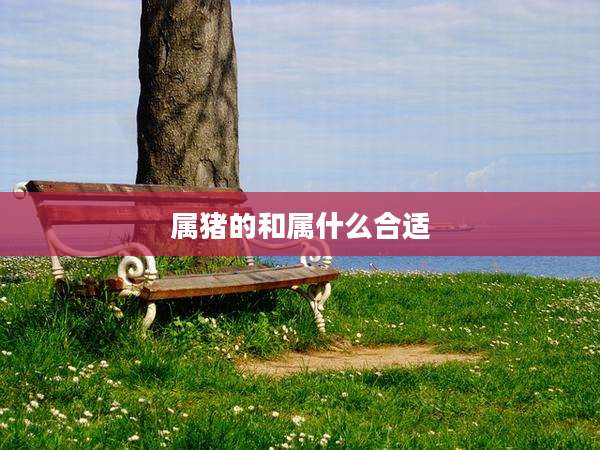 属猪的和属什么合适