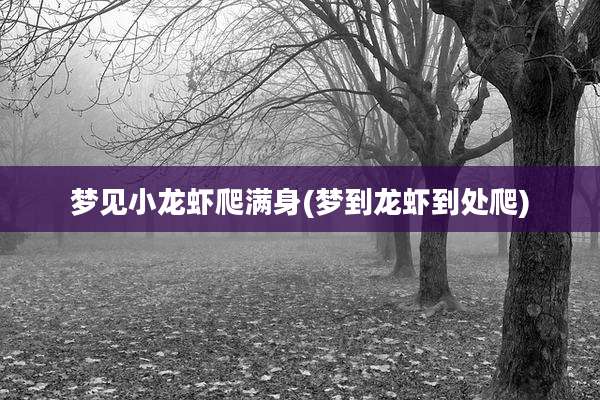 梦见小龙虾爬满身(梦到龙虾到处爬)