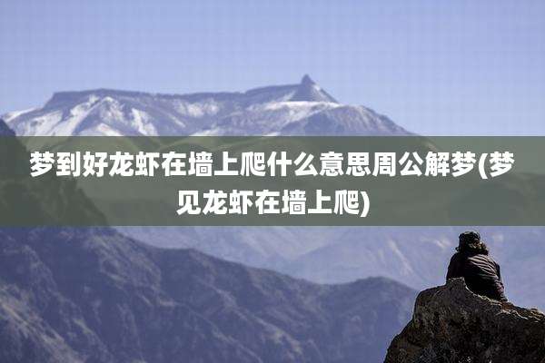 梦到好龙虾在墙上爬什么意思周公解梦(梦见龙虾在墙上爬)
