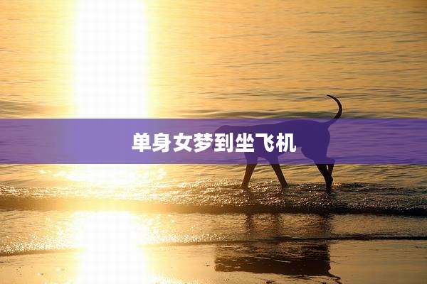 单身女梦到坐飞机