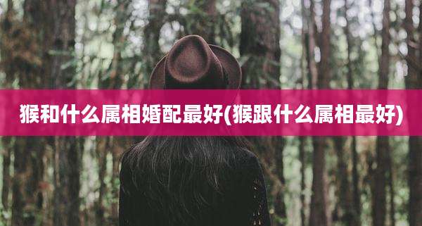 猴和什么属相婚配最好(猴跟什么属相最好)
