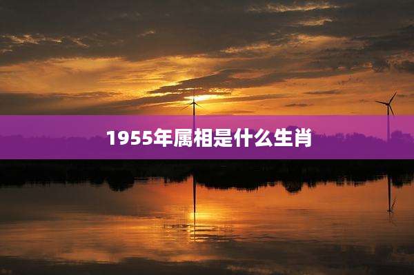 1955年属相是什么生肖