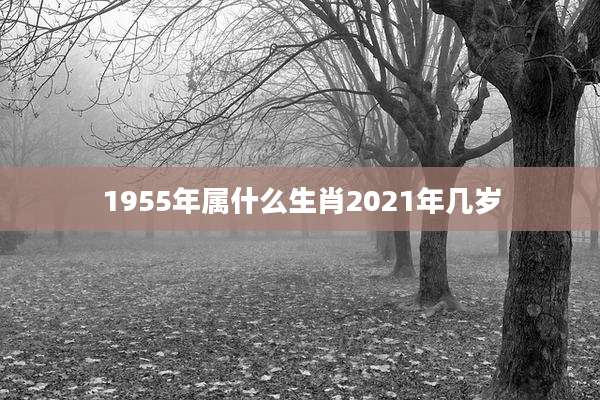 1955年属什么生肖2021年几岁